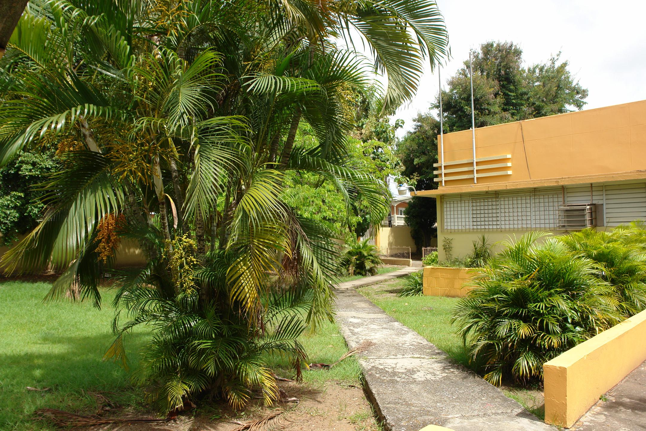 PR - Coamo - 2010 00001